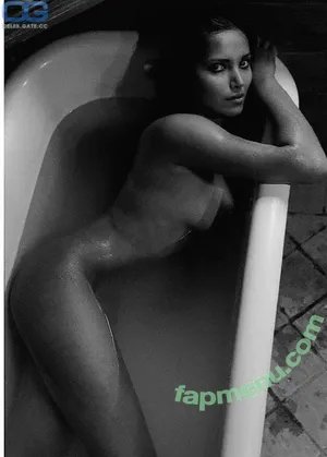 Padma Lakshmi / PadmaLakshmi nude photo #0470