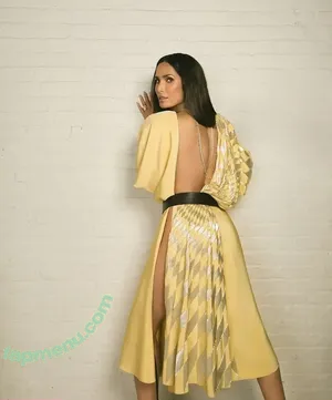 Padma Lakshmi / PadmaLakshmi nude photo #0516