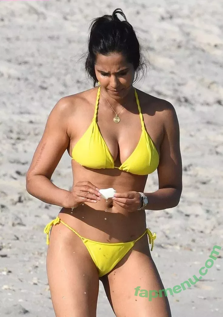 Padma Lakshmi nude photo #0339 (PadmaLakshmi)