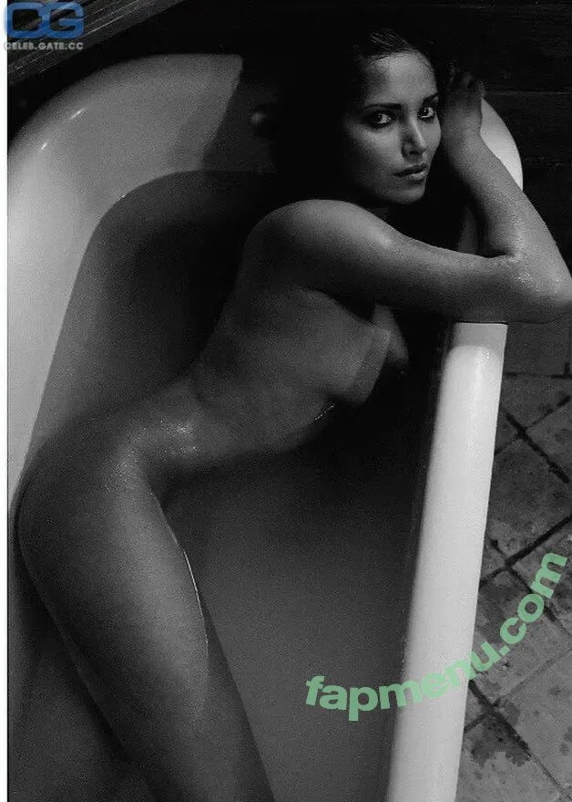 Padma Lakshmi nude photo #0470 (PadmaLakshmi)