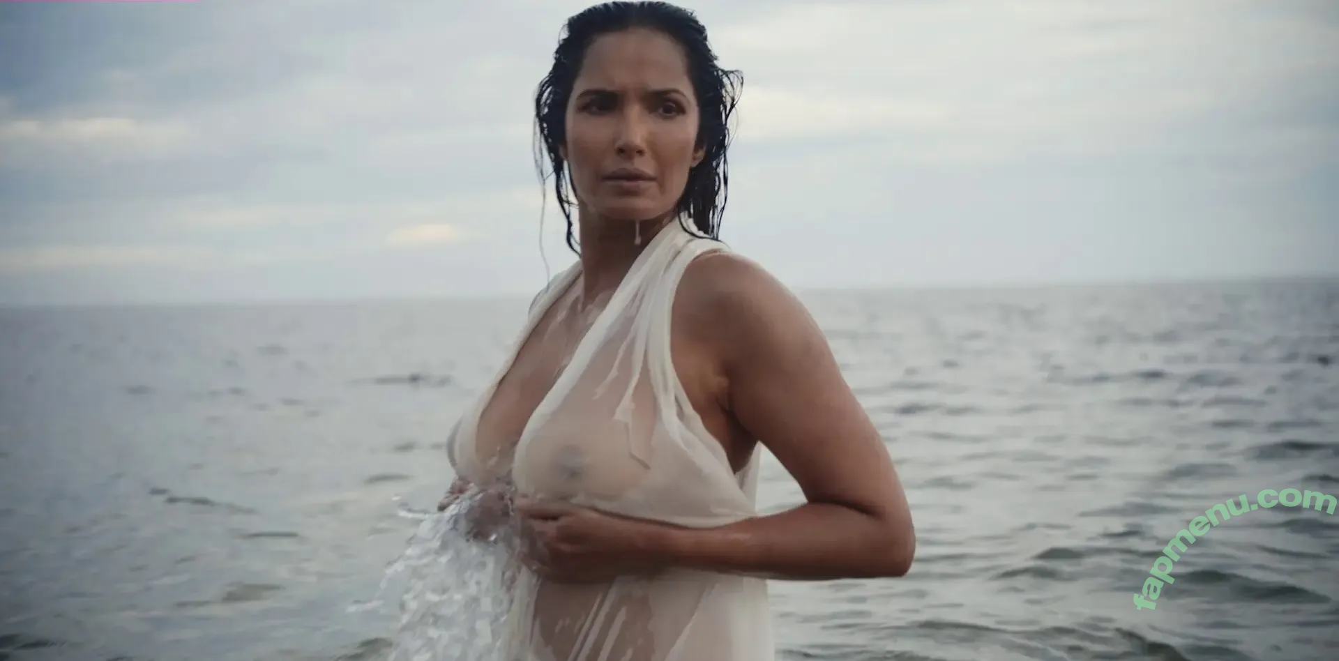 Padma Lakshmi nude photo #0481 (PadmaLakshmi)