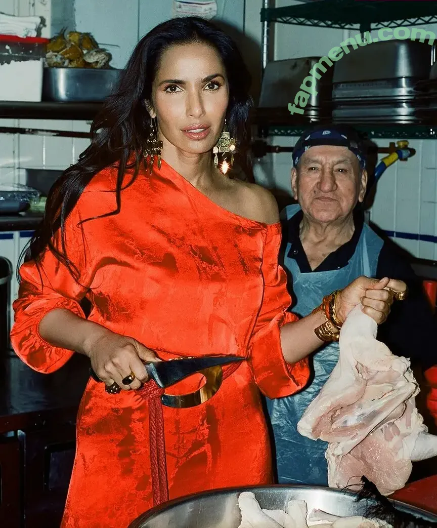 Padma Lakshmi nude photo #0502 (PadmaLakshmi)