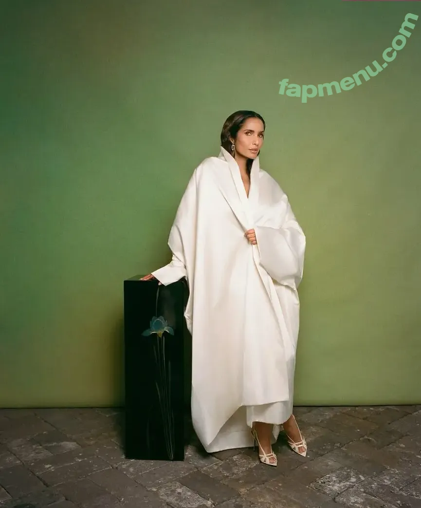 Padma Lakshmi nude photo #0513 (PadmaLakshmi)