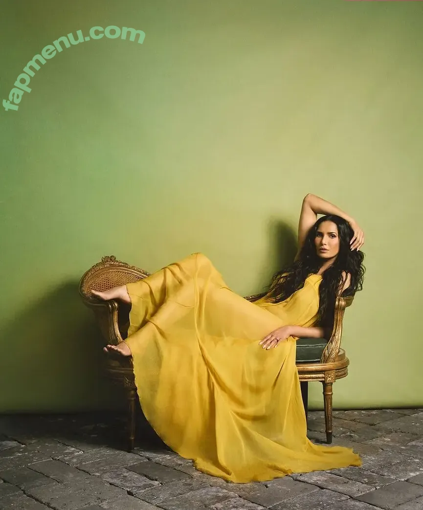Padma Lakshmi nude photo #0515 (PadmaLakshmi)