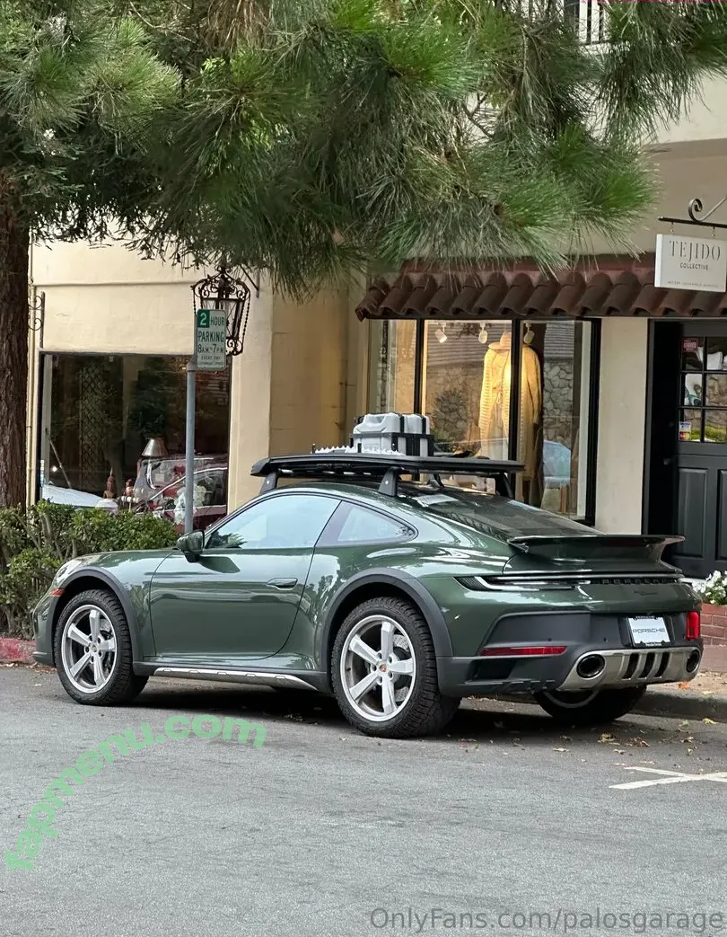 palosgarage nude photo #0008 (palosgarage)