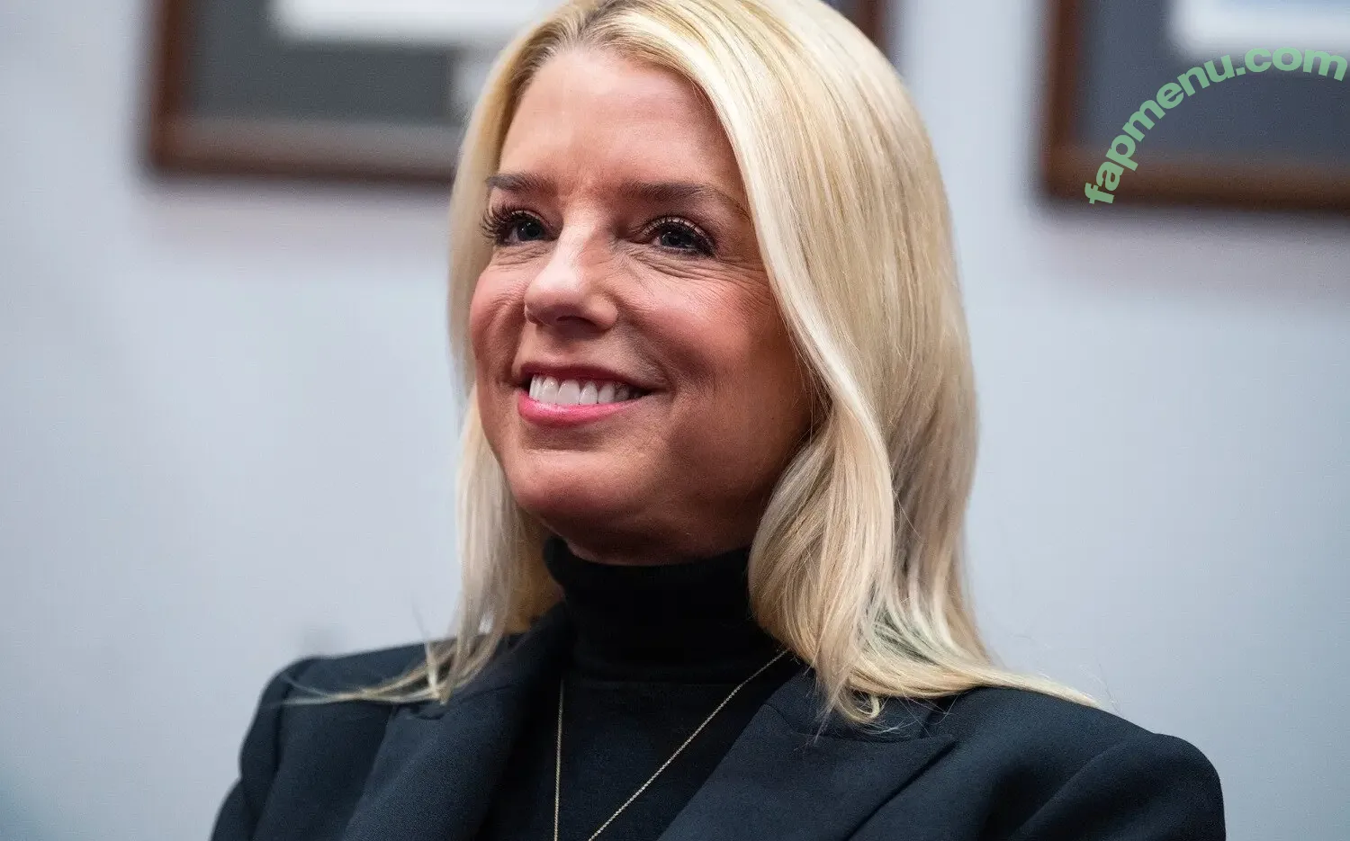 Pam Bondi nude photo #0005 (pambondi)