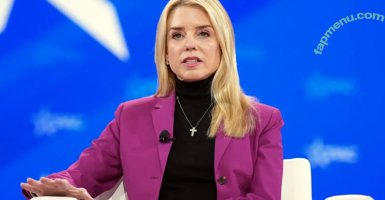 Pam Bondi nude photo #0006 (pambondi)