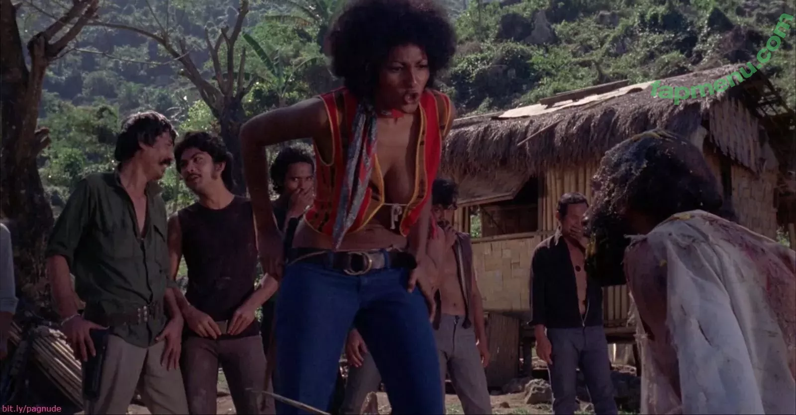 Pam Grier nude photo #0032 (fayejackson419 / pamrier)