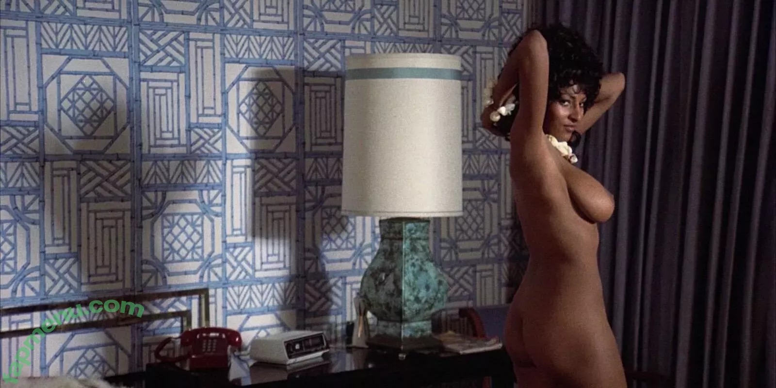 Pam Grier nude photo #0067 (fayejackson419 / pamrier)