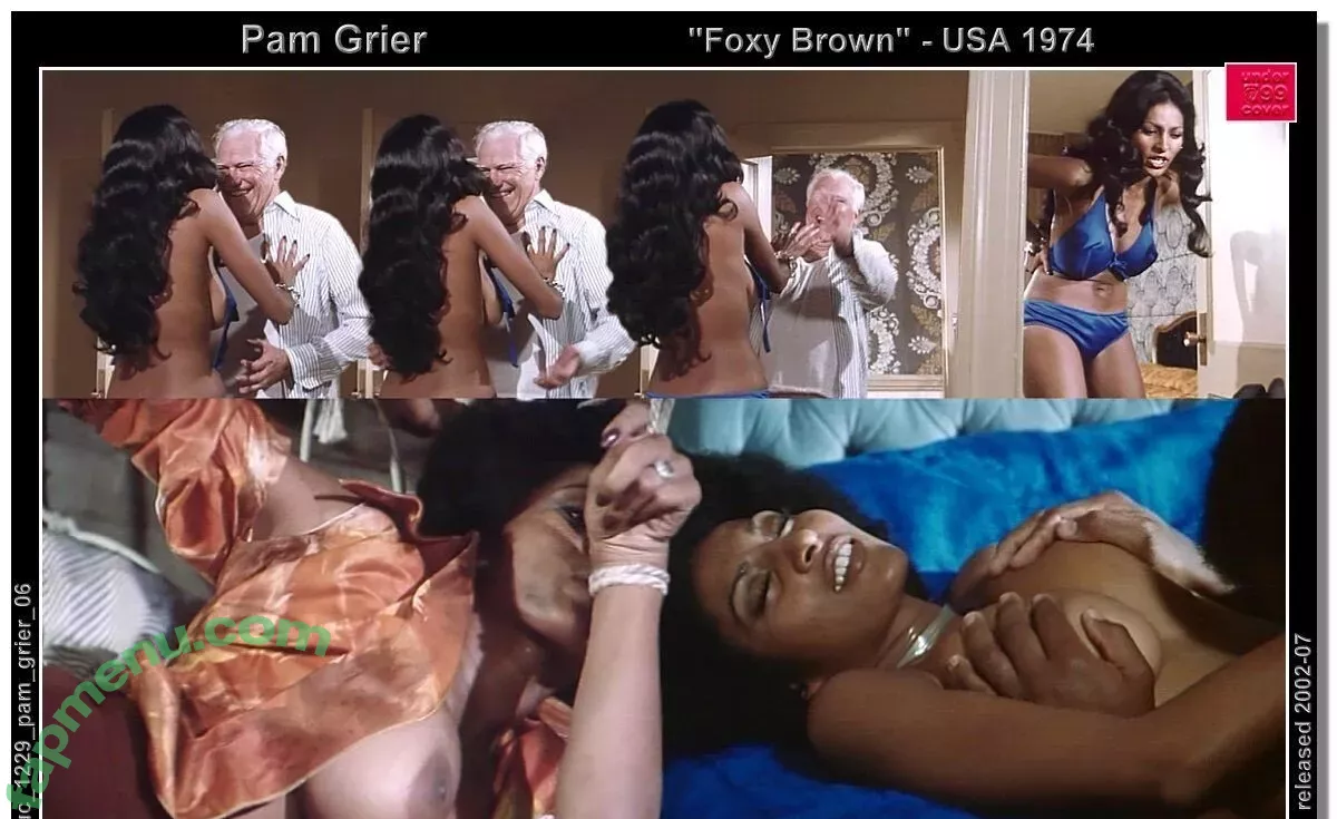 Pam Grier nude photo #0089 (fayejackson419 / pamrier)