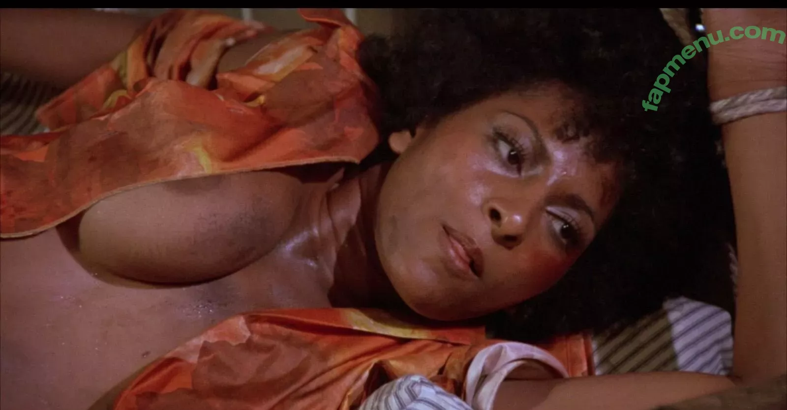 Pam Grier nude photo #0095 (fayejackson419 / pamrier)