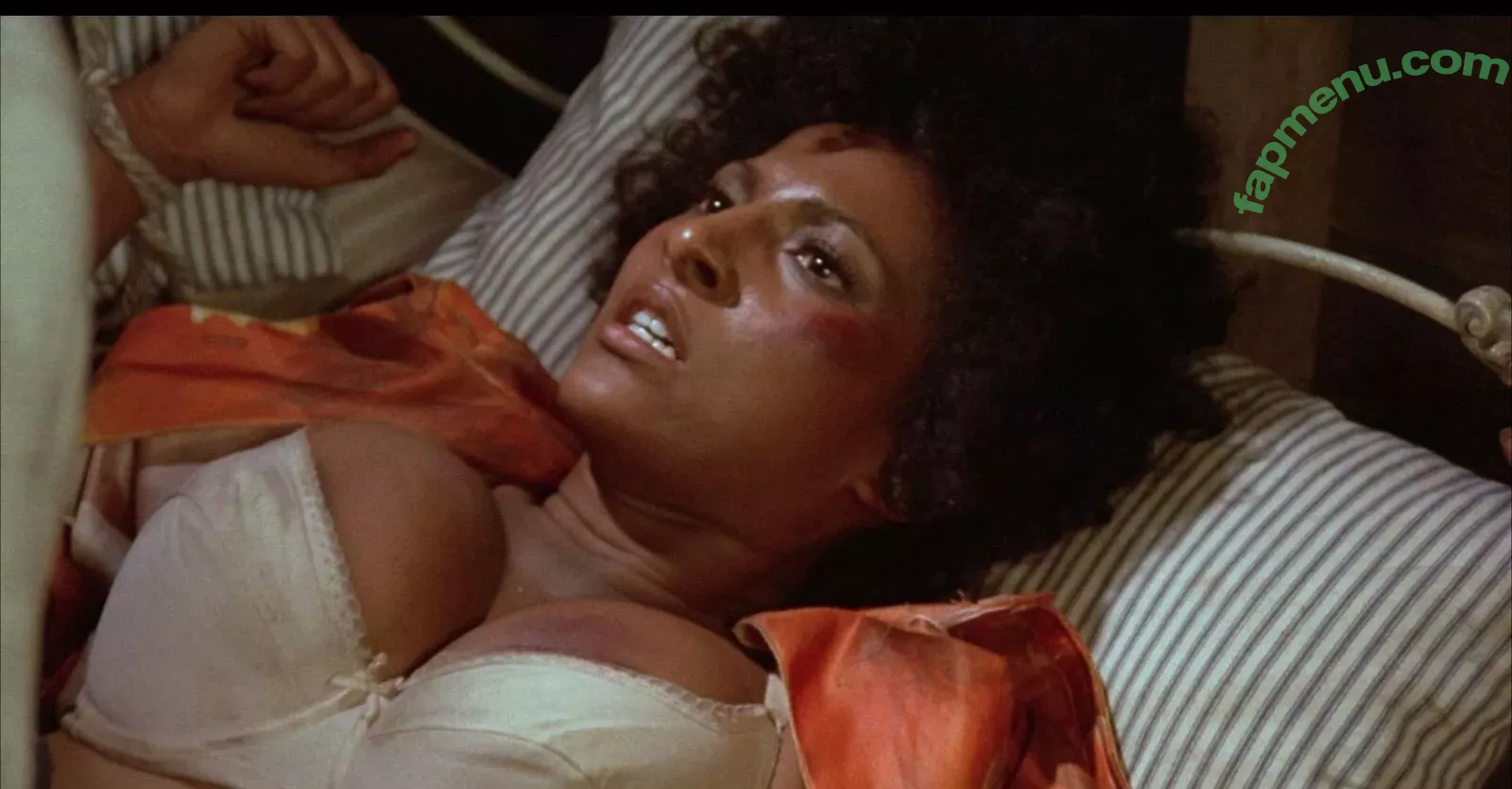 Pam Grier nude photo #0096 (fayejackson419 / pamrier)