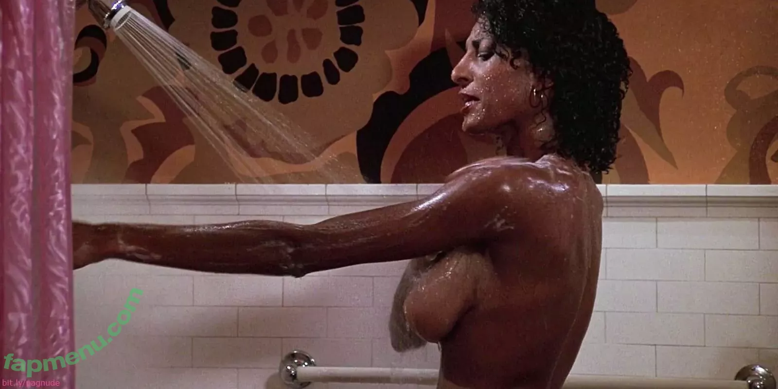 Pam Grier nude photo #0109 (fayejackson419 / pamrier)