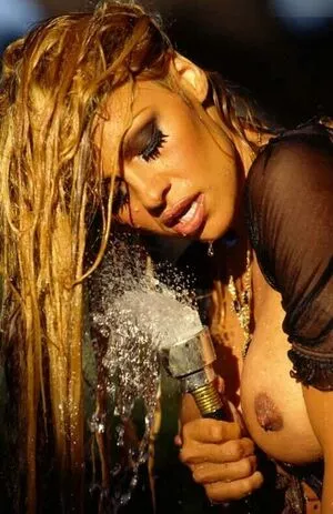 Pamela Anderson / pamelaanderson nude photo #0486