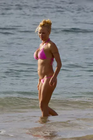 Pamela Anderson / mepamelaanderson / pamelaanderson nude photo #0573