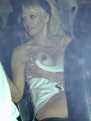 Pamela Anderson / mepamelaanderson / pamelaanderson nude photo #0611