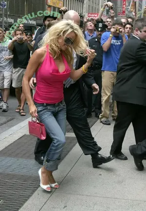 Pamela Anderson / mepamelaanderson / pamelaanderson nude photo #0970