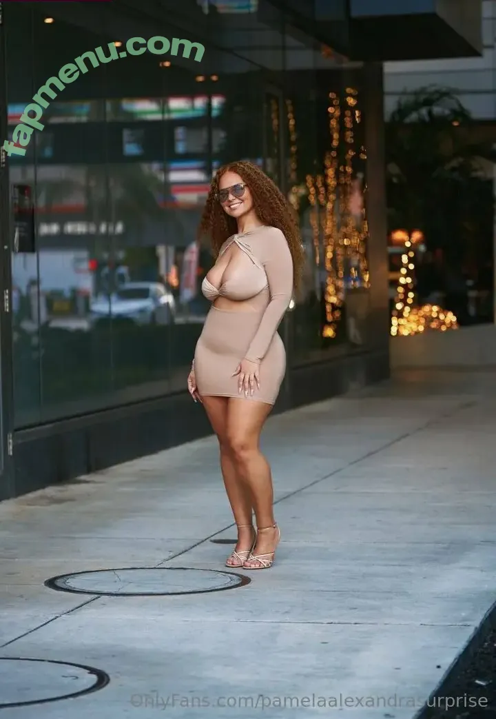 pamelaalexandrasurprise nude photo #0001 (pamelaalexandra)