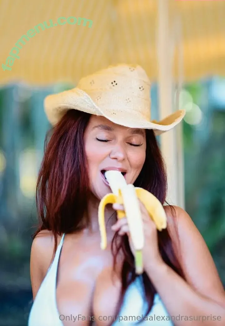 pamelaalexandrasurprise nude photo #0023 (pamelaalexandra)