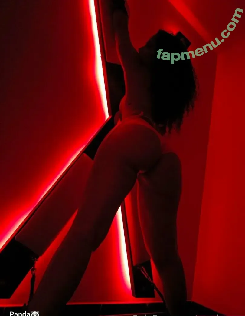 panda.ass nude photo #0004 (pandadrift_ass)