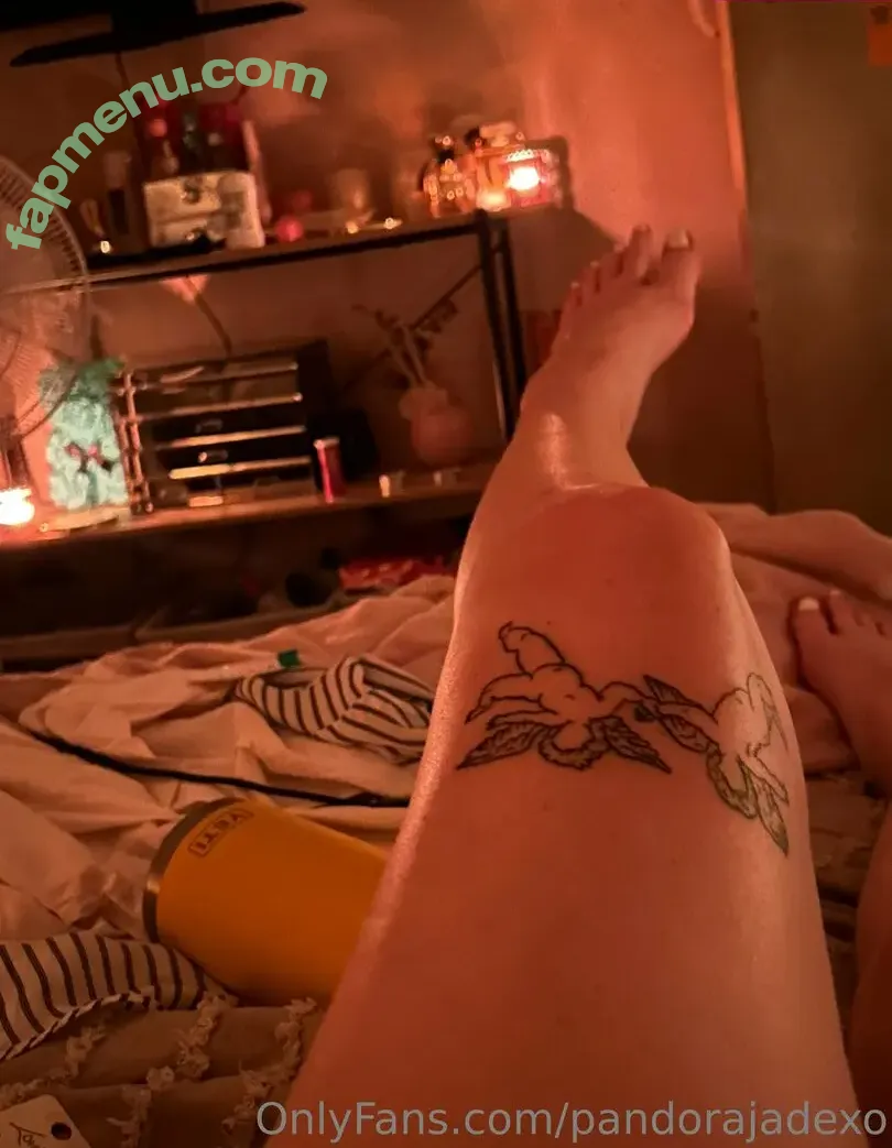 pandorajadexo nude photo #0037 (pandorajadexo)