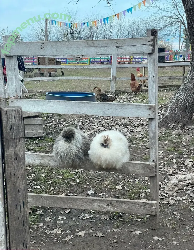 panteritafree nude photo #0148 (panteritafree)