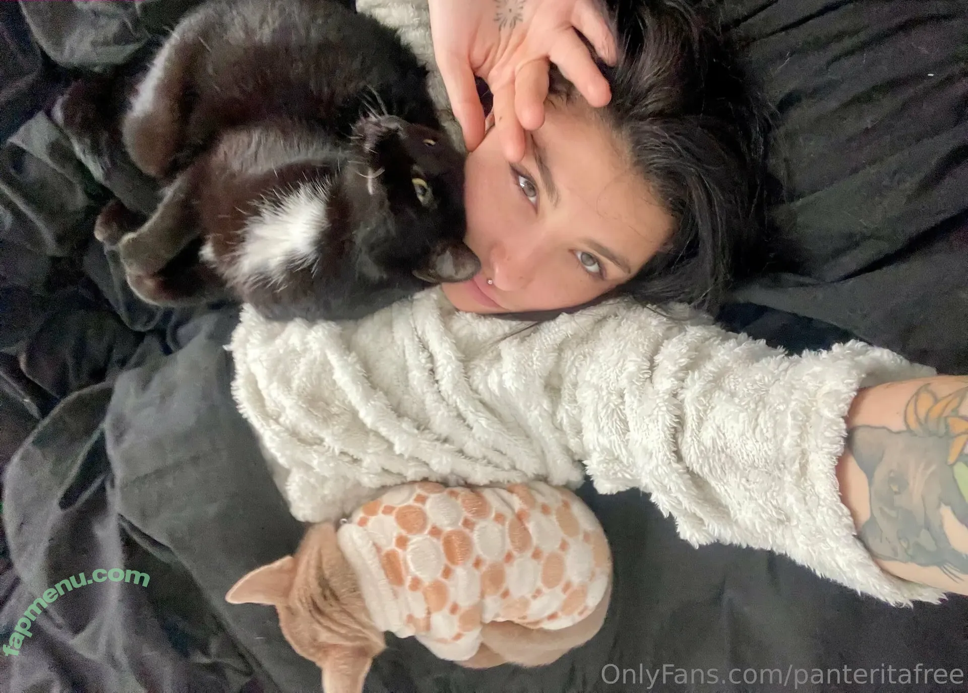 panteritafree nude photo #0159 (panteritafree)