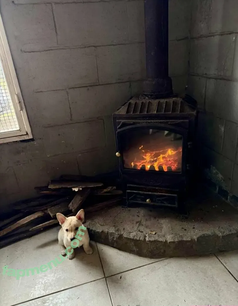 panteritafree nude photo #0160 (panteritafree)