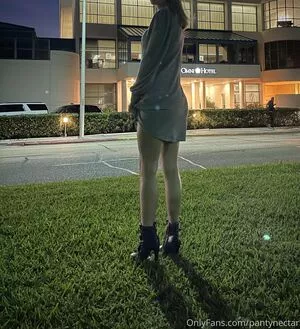 PantyNectar / pantynectarr nude photo #0182