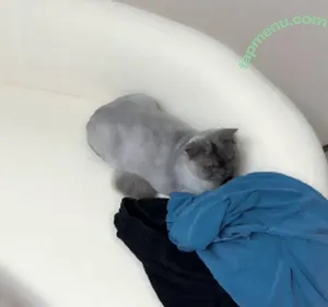 Parkhaag / p___he / qkrgkdms01 / 박하악 nude photo #0028