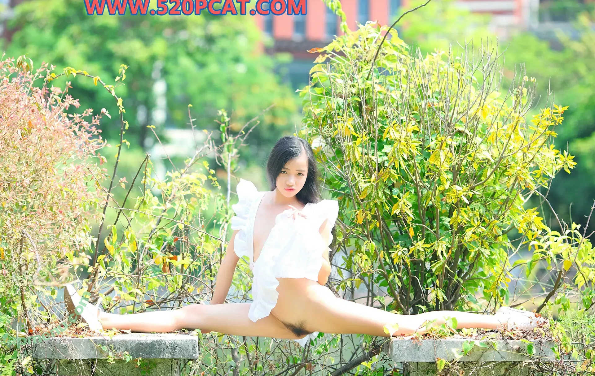 PartyCat nude photo #0459 (PDLONE / Pandora Model / the.partycat)