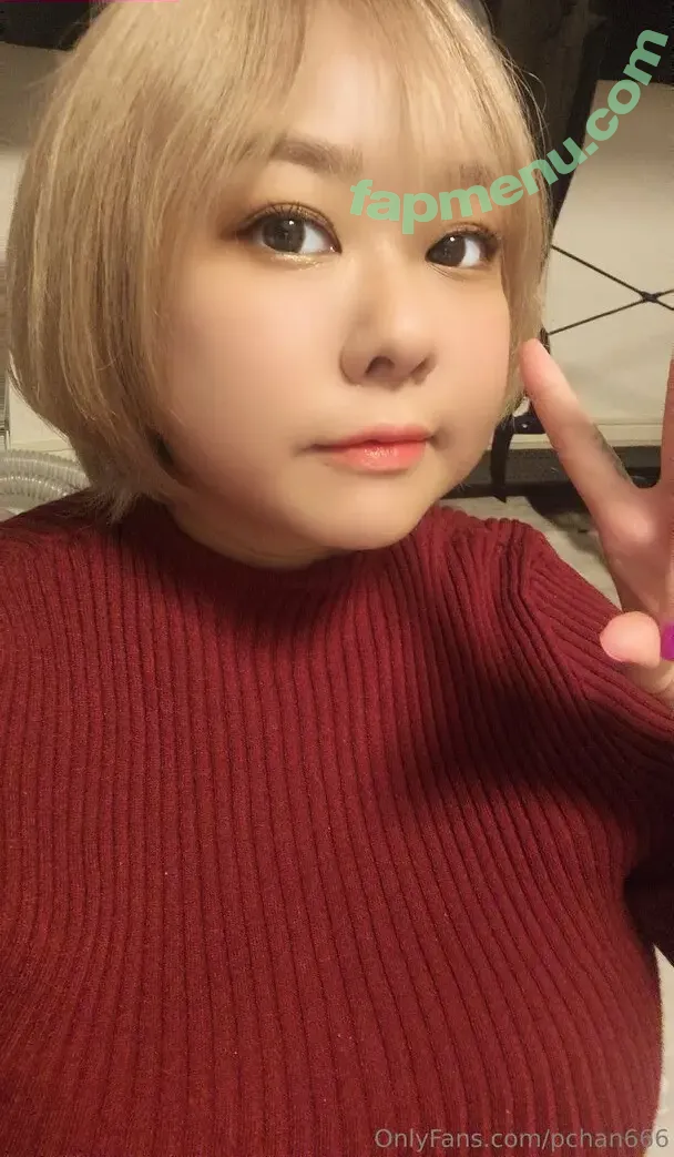 Pchan666 nude photo #0377 (P-chan / pchan030)