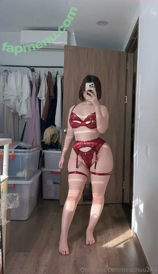 peachuu244 nude photo #0016 (honey_peachuu244)