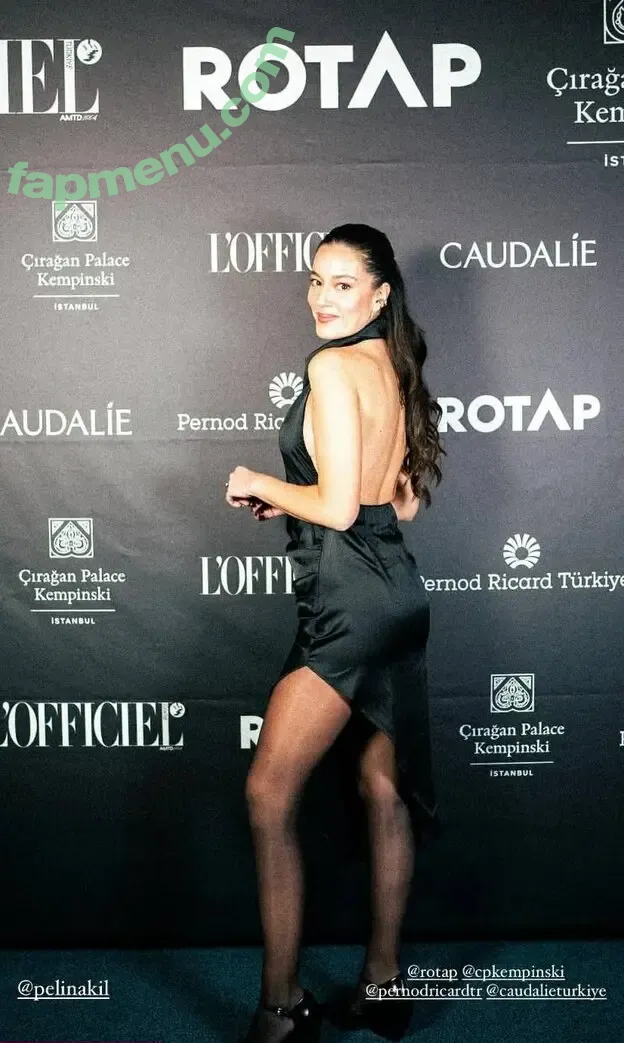 Pelin Akil nude photo #0024 (pelinakil)