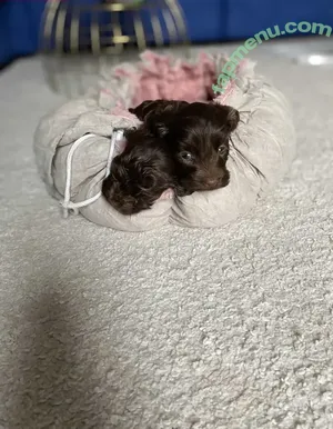 Peneloperogerr / Penelope__roger nude photo #0079