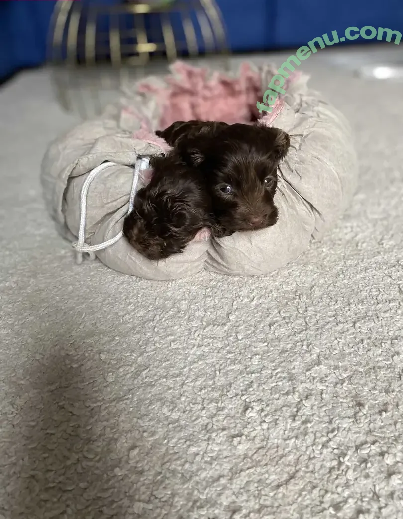 Peneloperogerr nude photo #0079 (Penelope__roger)