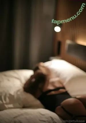 Petulkaaa / petulkaa.hl nude photo #0064