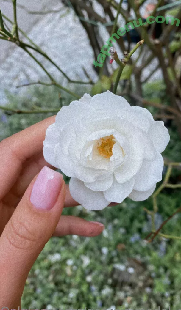 photopolli nude photo #0165 (Georgia / _photopolli_ / georgia.model_official)