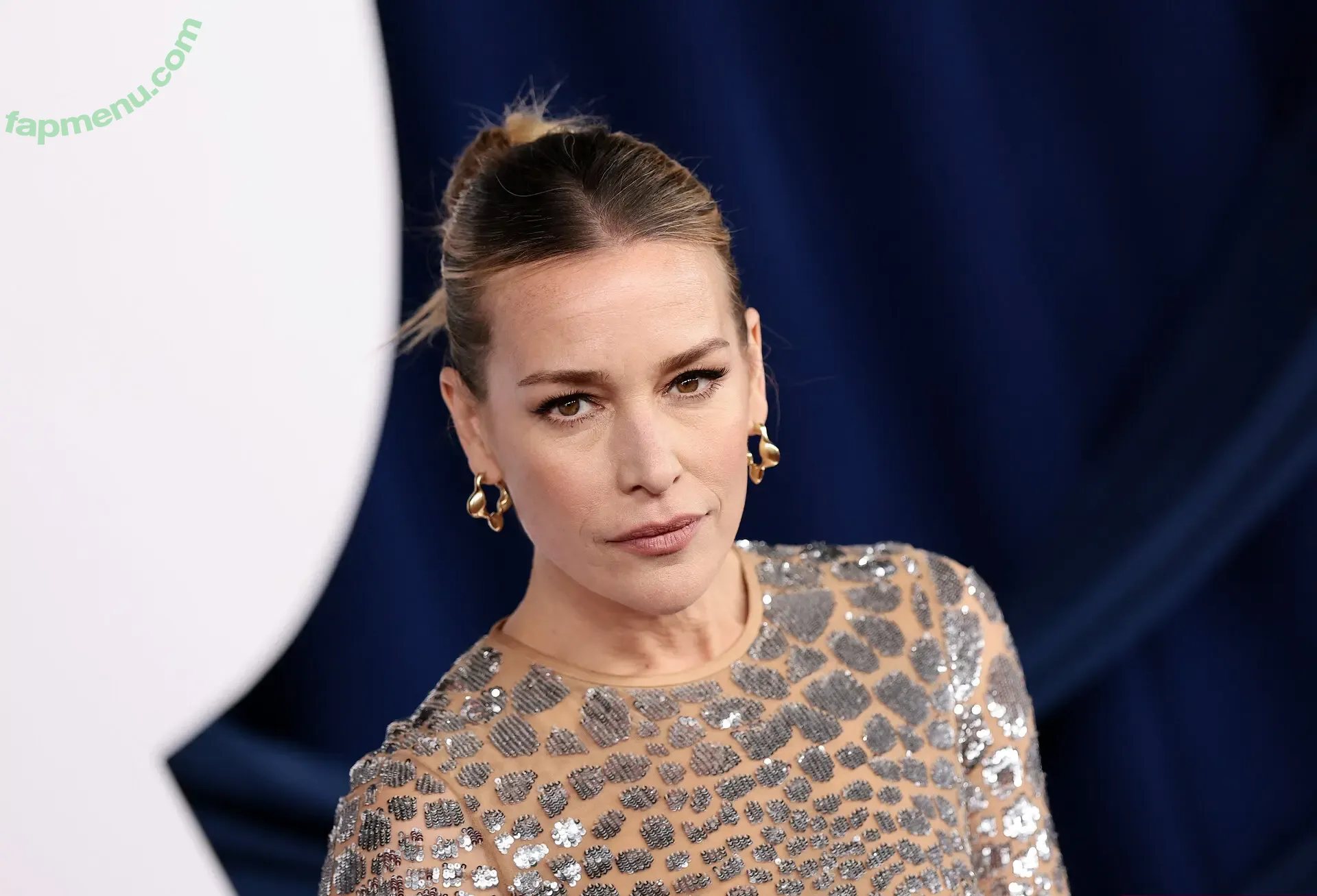 Piper Perabo nude photo #0054 (piperperabo)