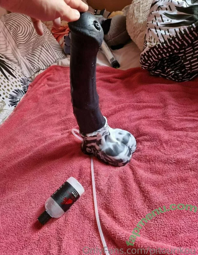 pitourikou nude photo #0001 (pitou.rikou)