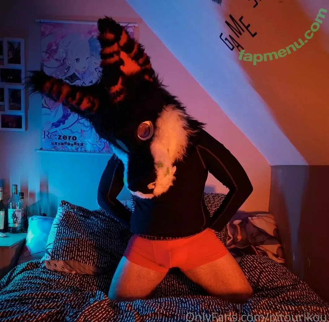 pitourikou nude photo #0013 (pitou.rikou)