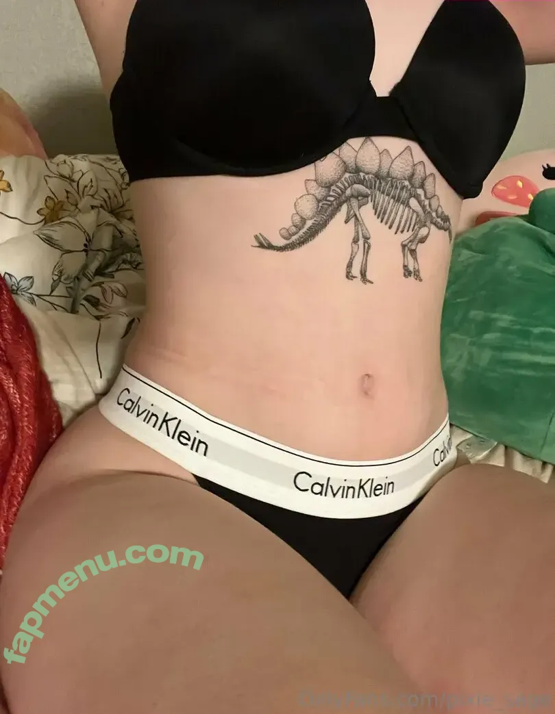 pixie_sage nude photo #0032 (pixie_sage)
