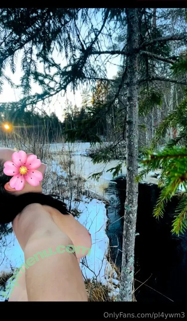 pl4ywm3 nude photo #0006 (pl4ywm3)