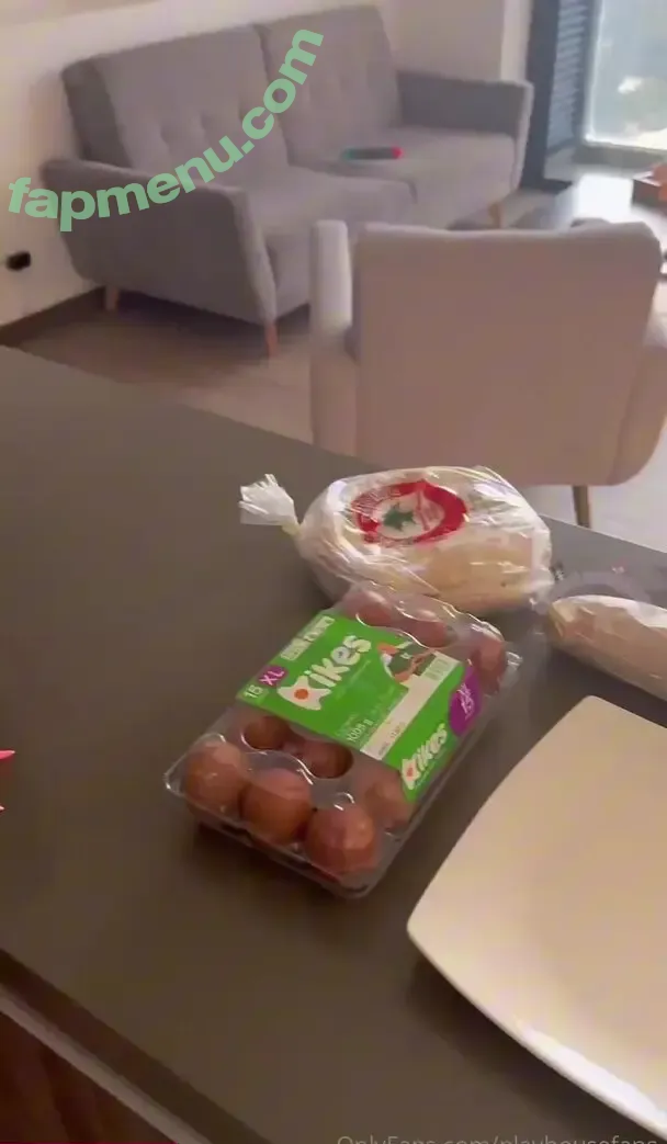 playhousefans nude photo #0197 (playhousefam)