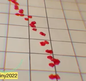 Pmella / pmellamakeup nude photo #0074