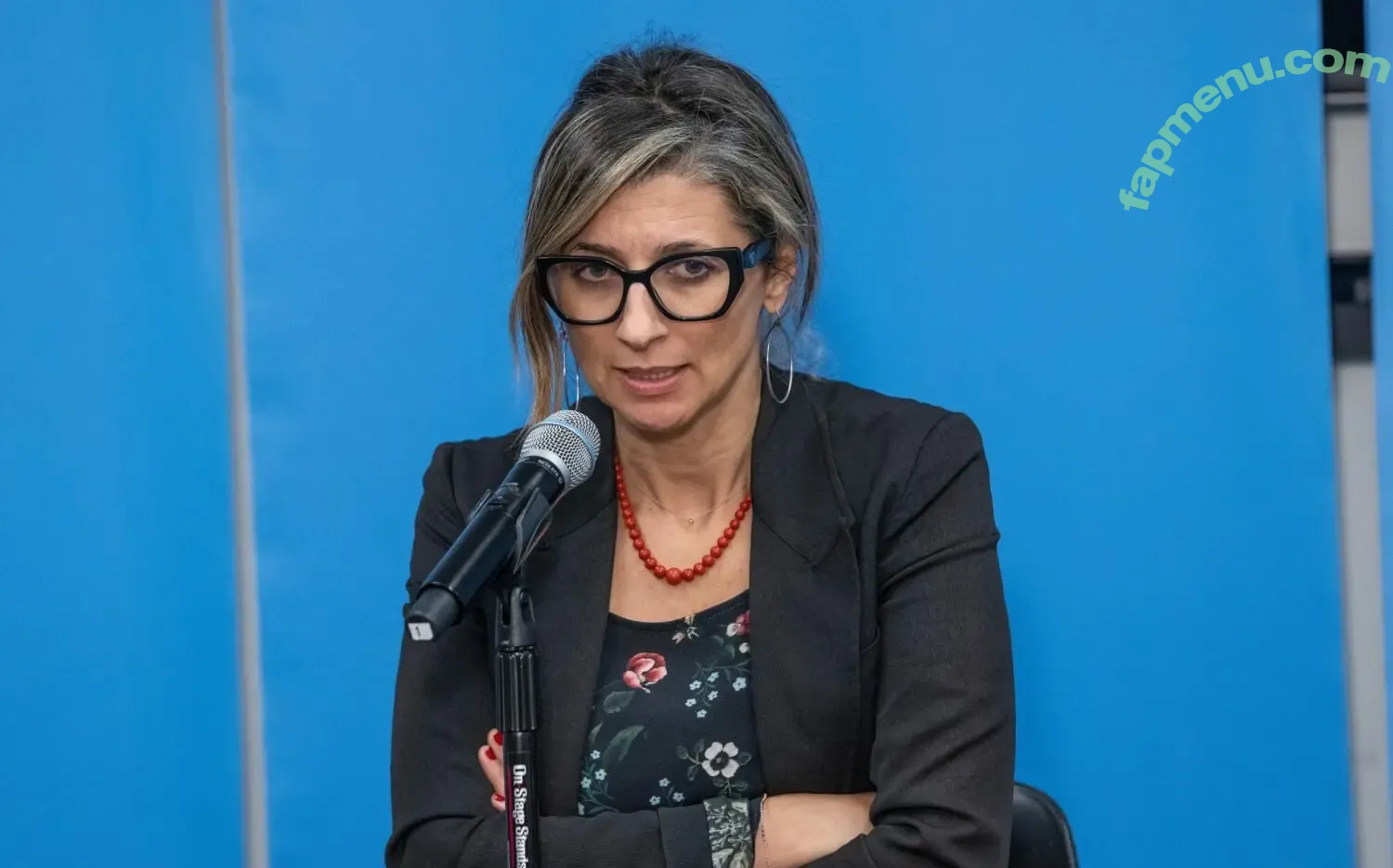 Political Ladies nude photo #0042 (womenandpolitics)