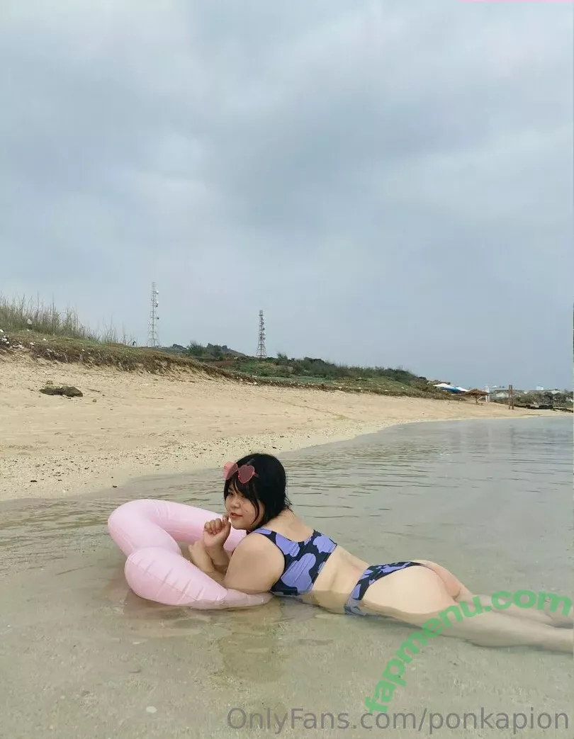 ponkapion nude photo #0208 (ponkapics)