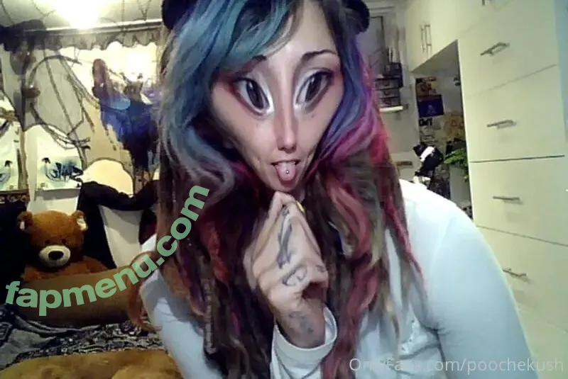poochekush nude photo #0033 (poshpooch_)