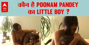 Poonam Pandey / Indian Goddess / iPoonampandey / poonampandeytv nude photo #0387