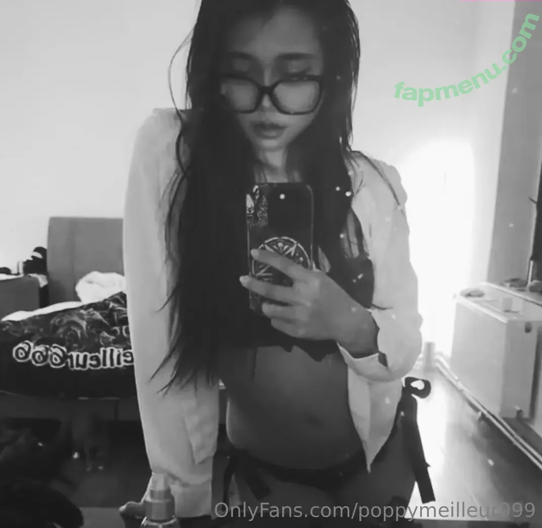poppymeilleur999 nude photo #0075 (poppymeilleur)